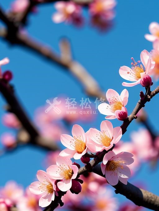 蕭邦手表GMT功能失效了怎么辦 蕭邦手表GMT功能失效了怎么辦
